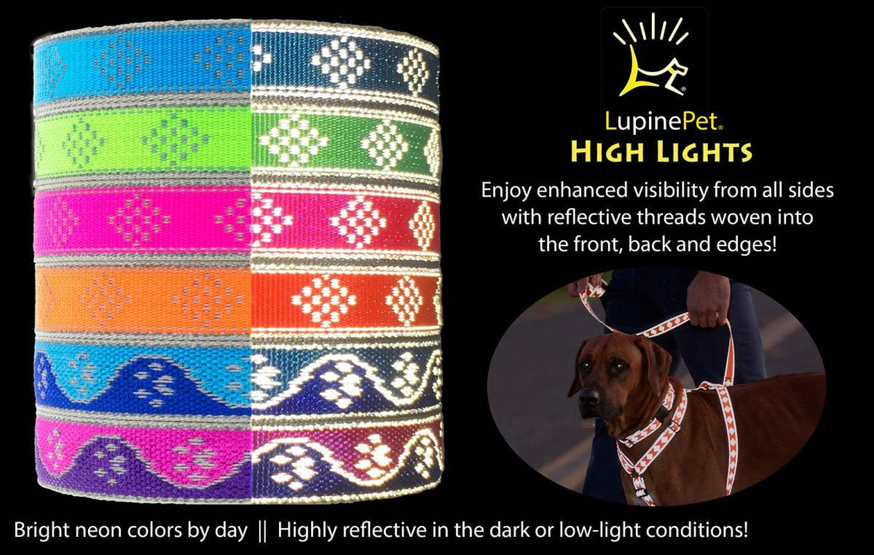 Lupine Reflective Small Dog Collar 3/4" Wide Blue Paws Adjusts from 9" to 14"